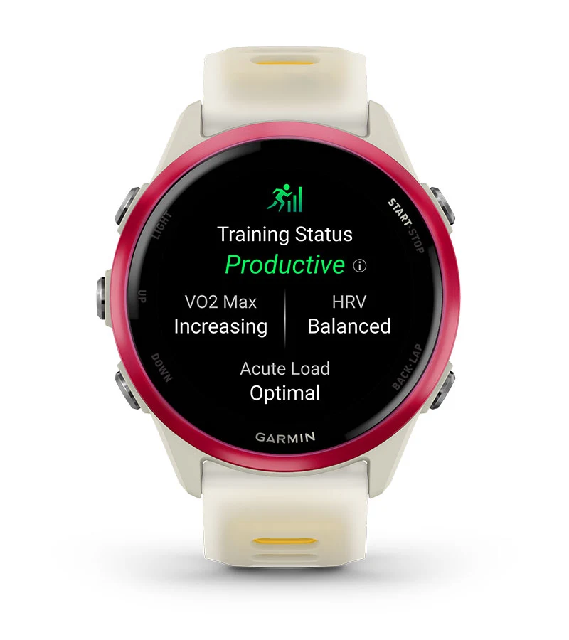 Status de Treinamento